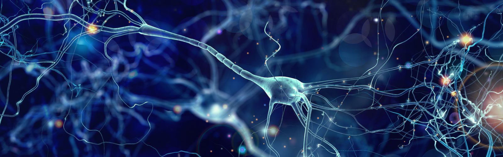 نکات مهم در تشخیص و درمان تومورهای مغزی