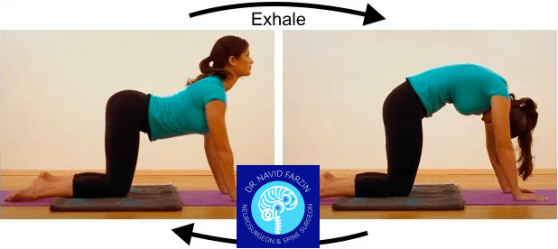 ورزش برای کمردرد - کشش گربه-شتر