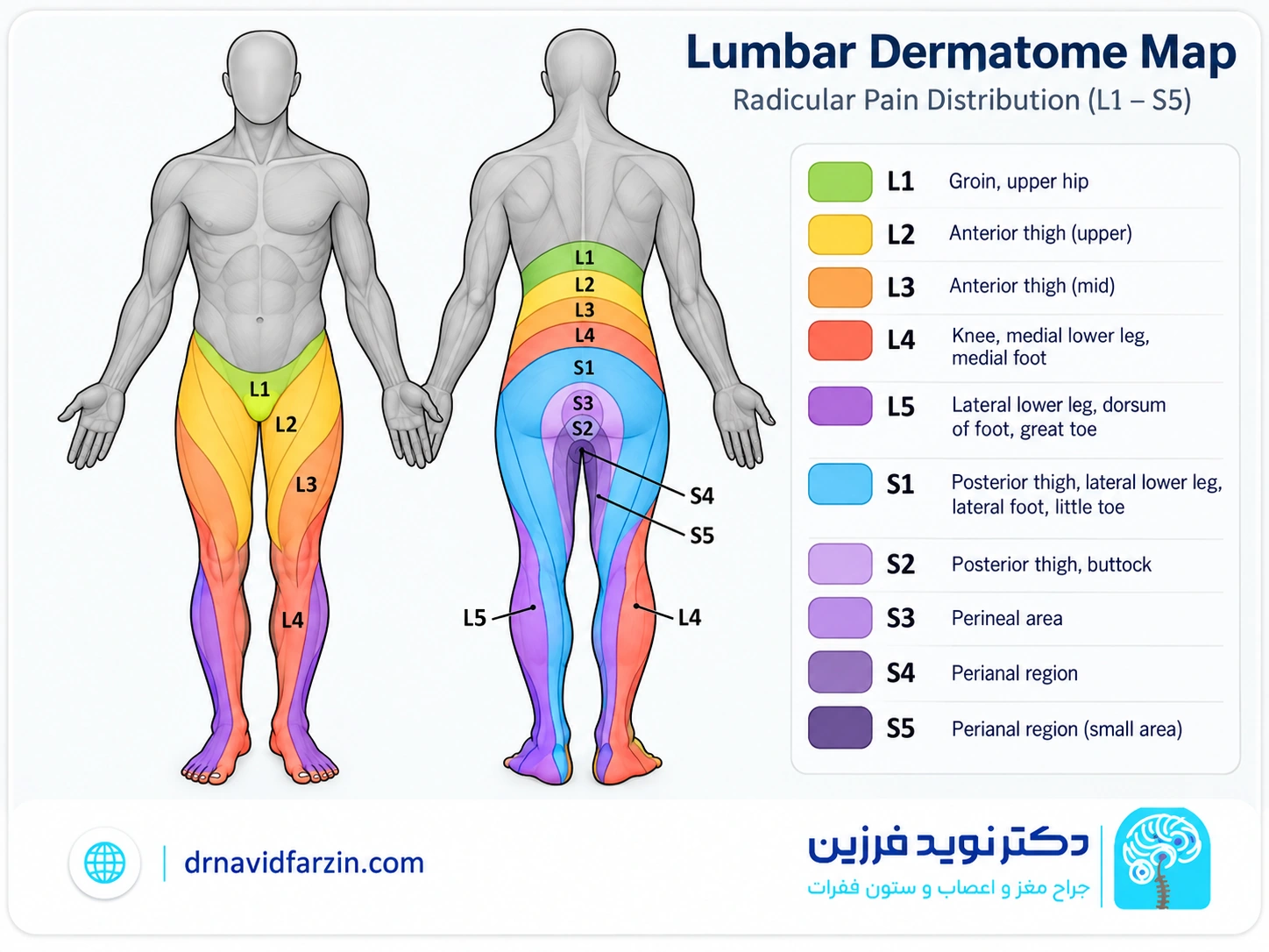 معیارهای انتخاب جراح ستون فقرات در شیراز